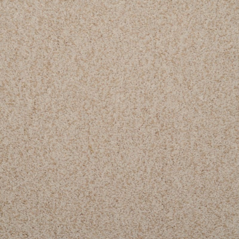 Soft & Silky carpet by Dixie Home
