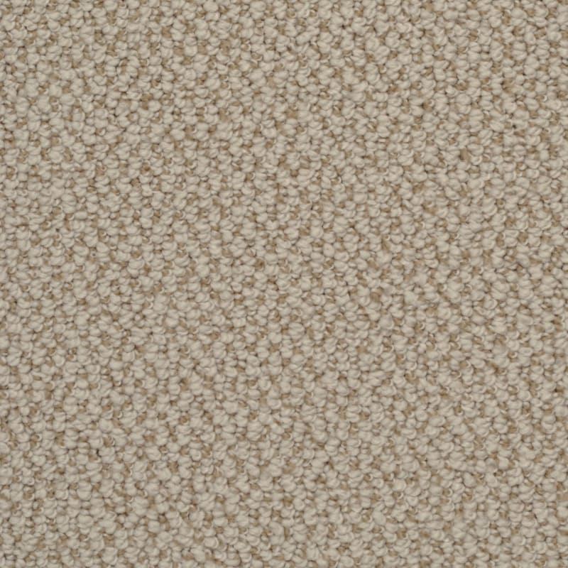 Authentic Living carpet by Dixie Home