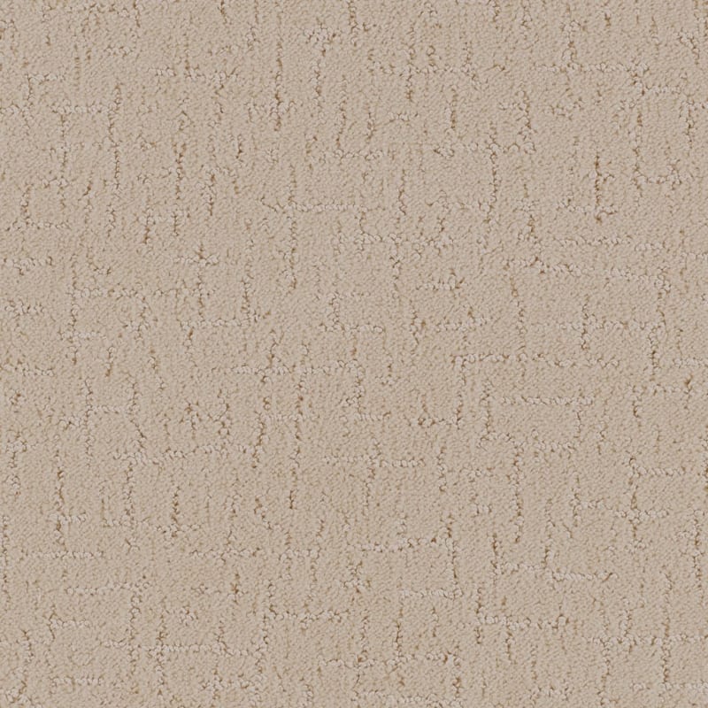 Dx301 carpet by Dixie Home