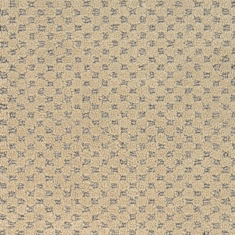 Rain Dance carpet by Dixie Home