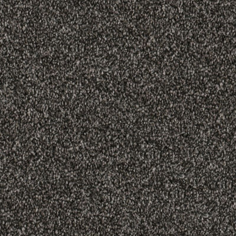 Dx108 carpet by Dixie Home