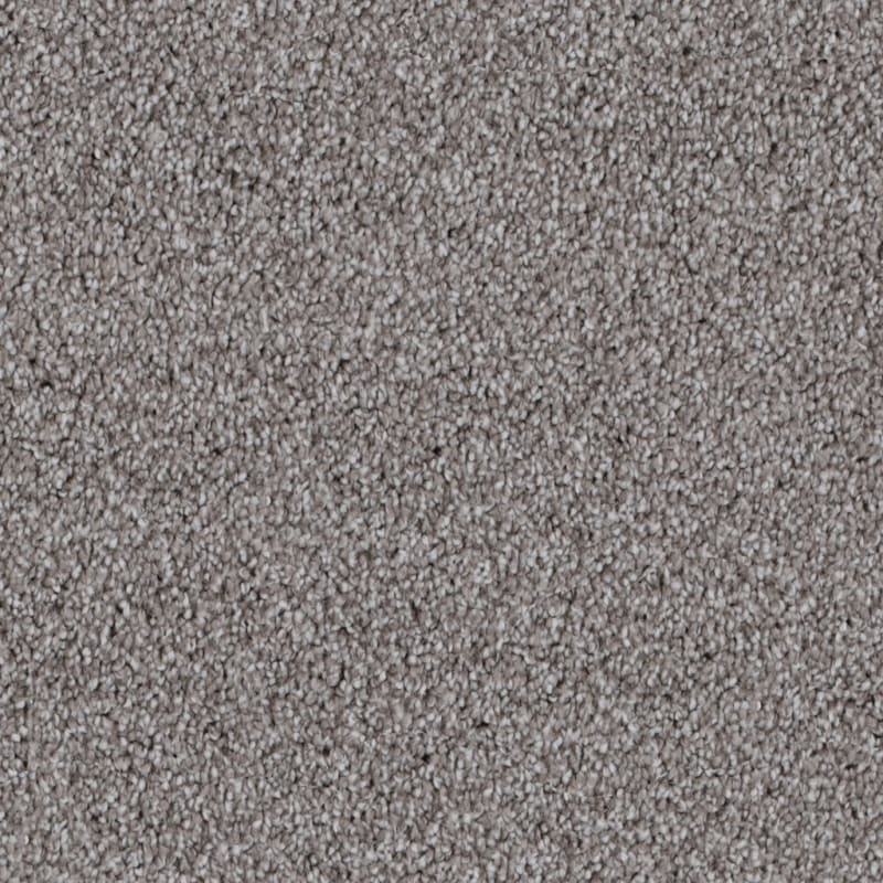 Dx169 carpet by Dixie Home