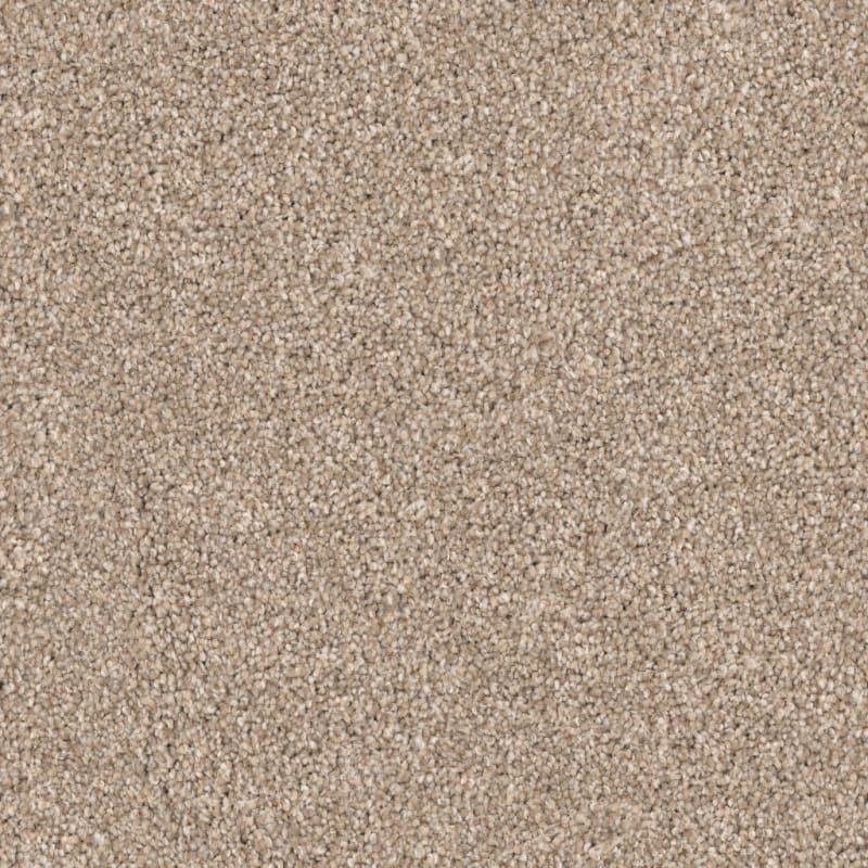 Husky carpet by Dixie Home