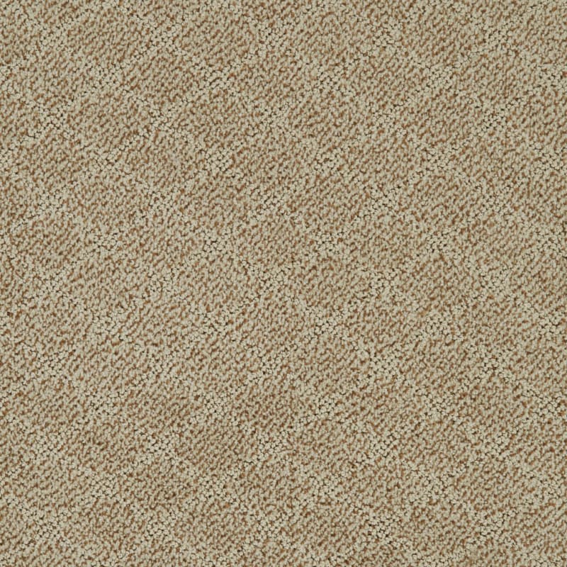Fine Art carpet by Dixie Home