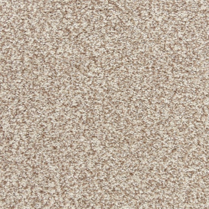 Dawn's Delight carpet by Dixie Home