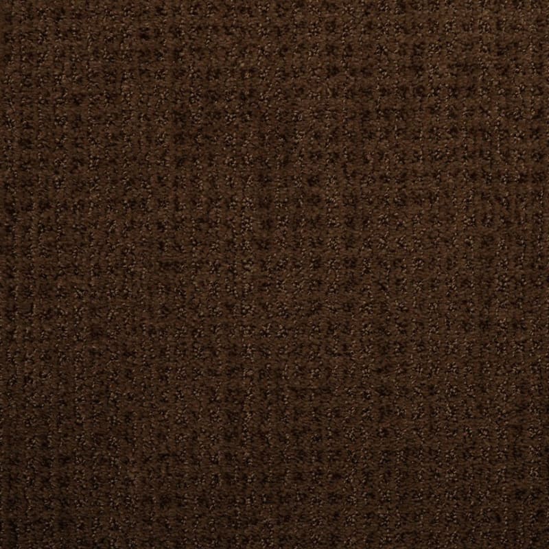 Sterling carpet by Dixie Home