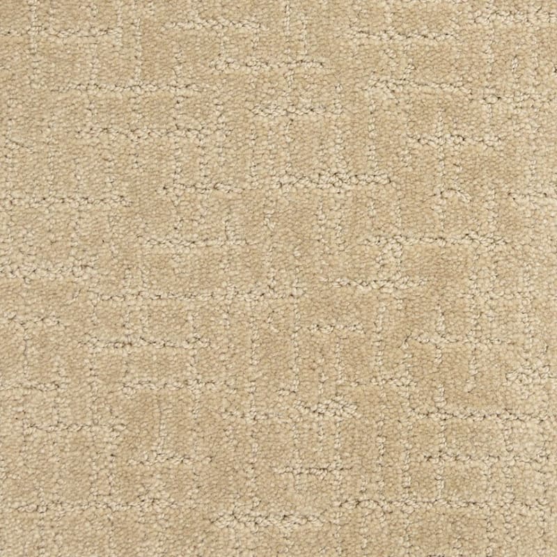 Amazing carpet by Dixie Home