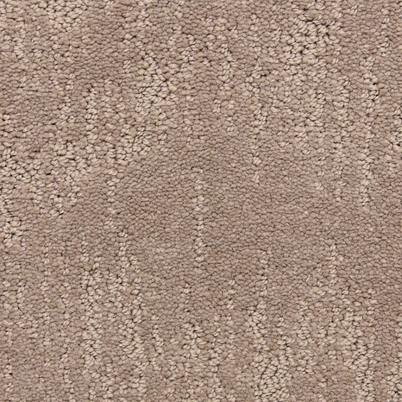 Attributes carpet by Dixie Home