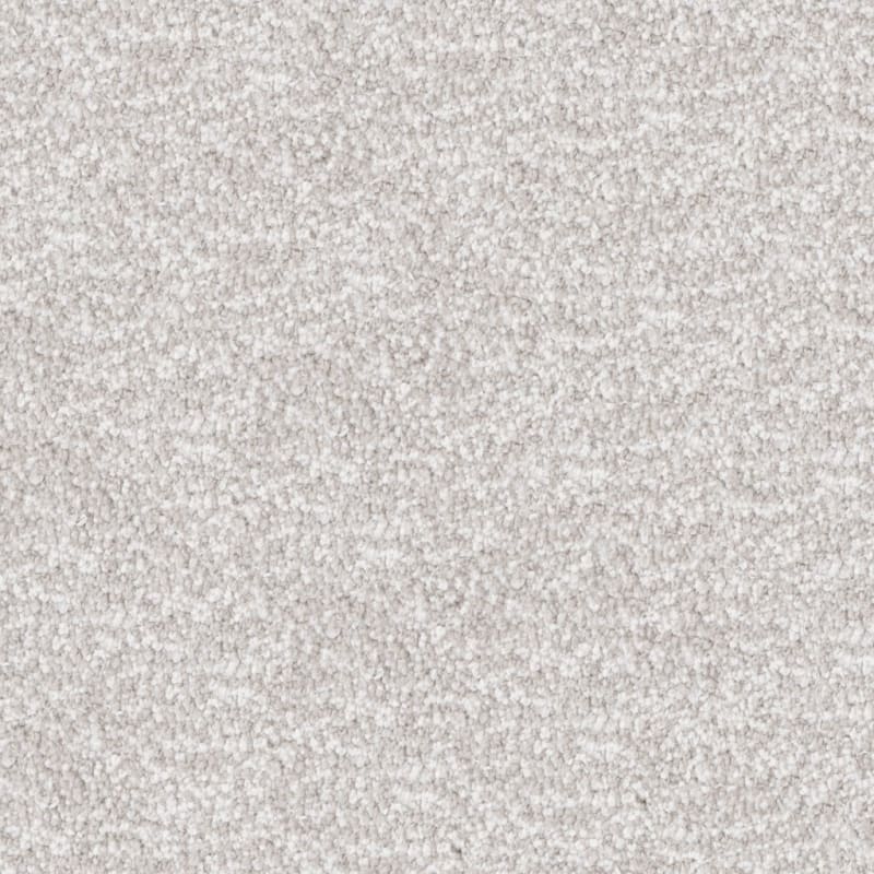 Dx220 carpet by Dixie Home