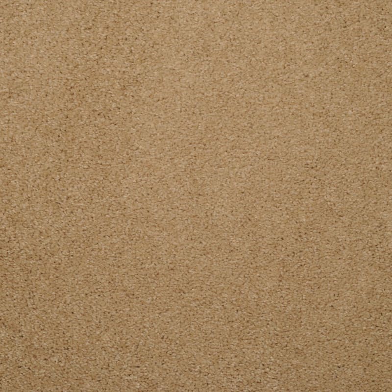 Soft & Silky carpet by Dixie Home