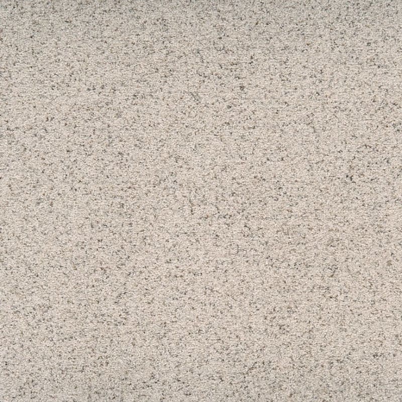 Legit carpet by Dixie Home