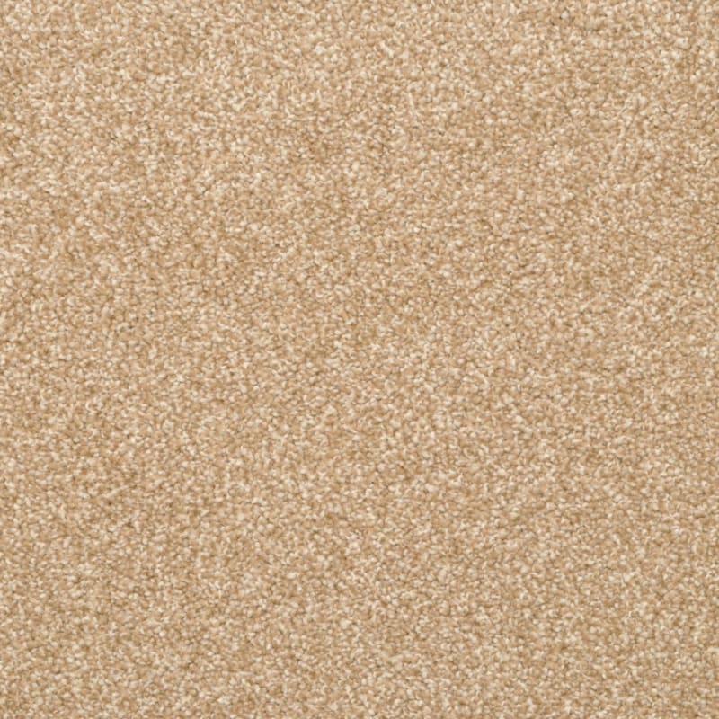 True Comfort carpet by Dixie Home