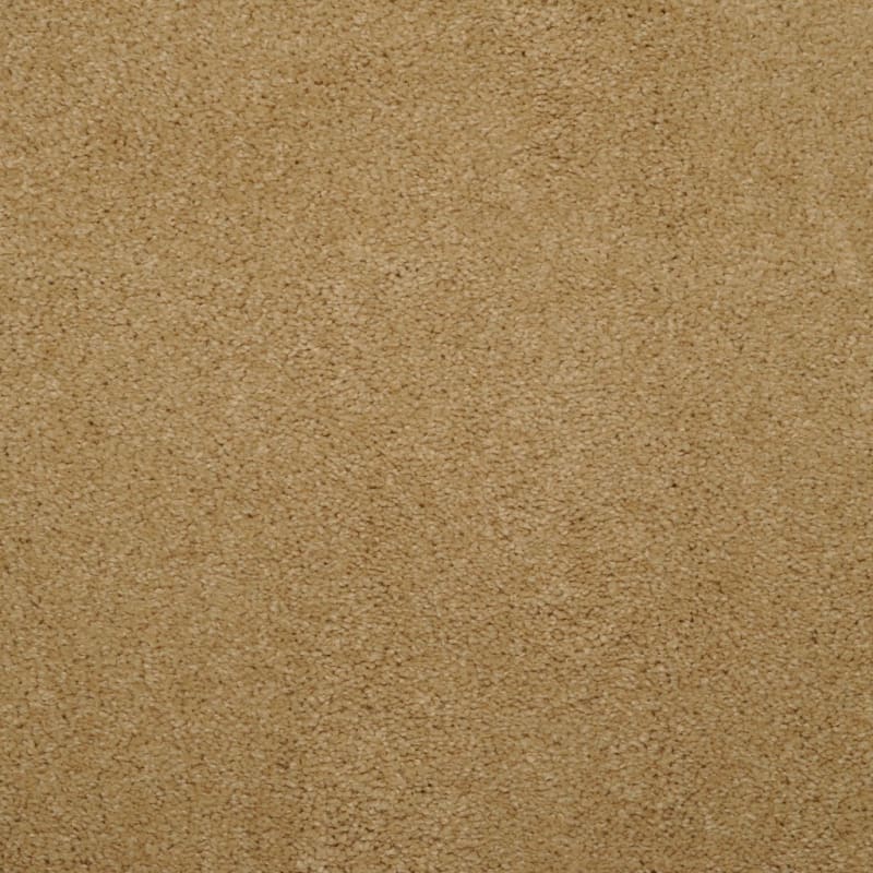 Soft & Silky carpet by Dixie Home
