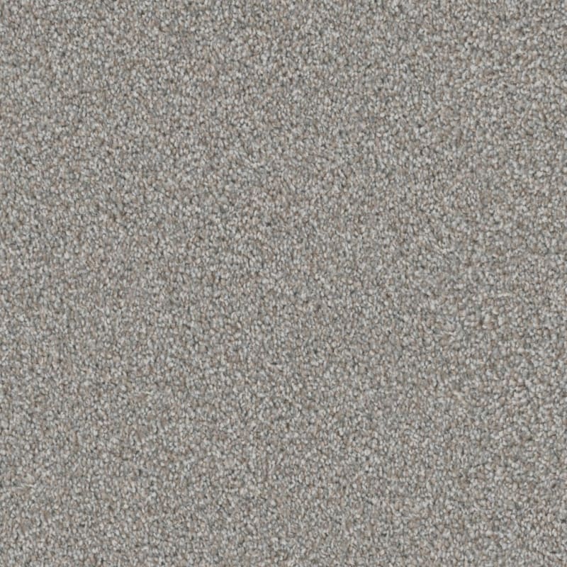 Admiration carpet by Dixie Home