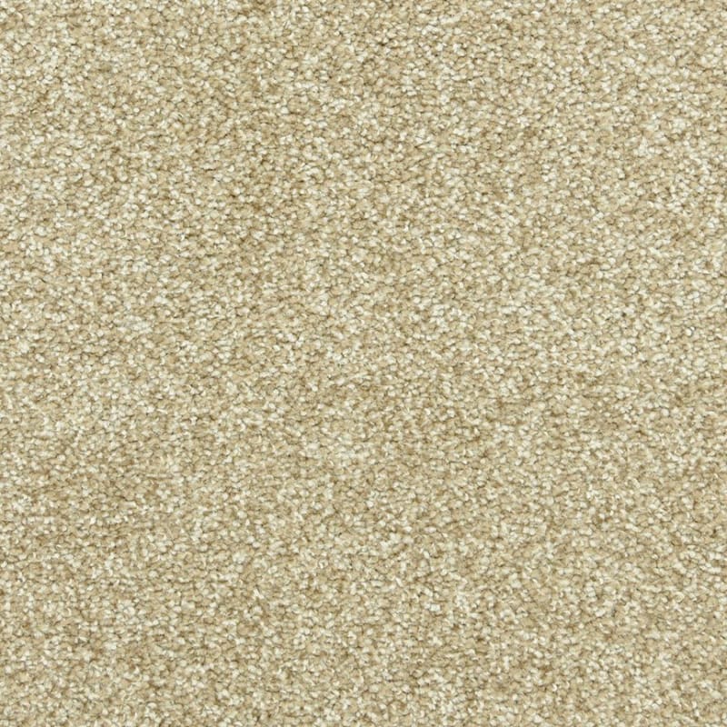 Leigh Way carpet by Dixie Home