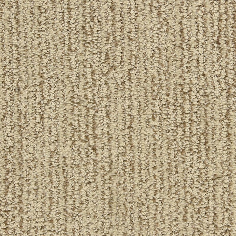 Smash Hit carpet by Dixie Home