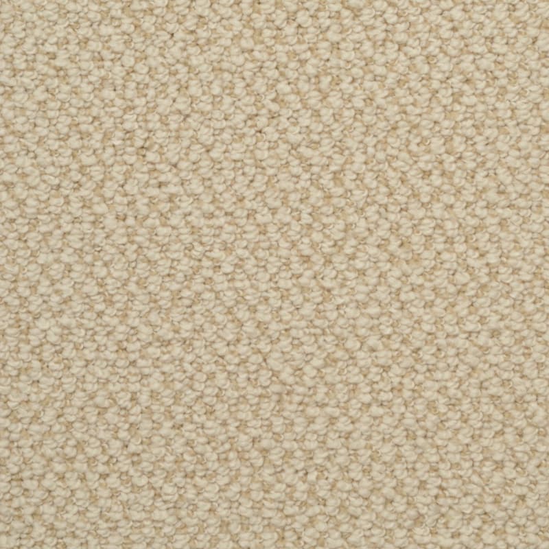 Authentic Living carpet by Dixie Home