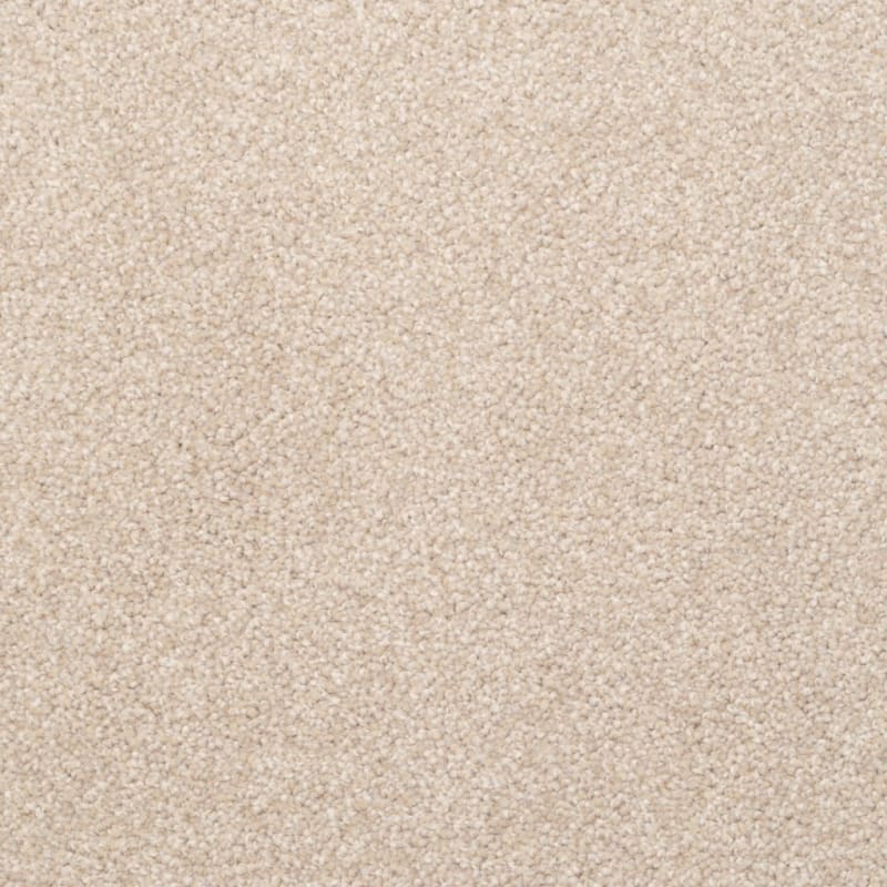 Delight carpet by Dixie Home