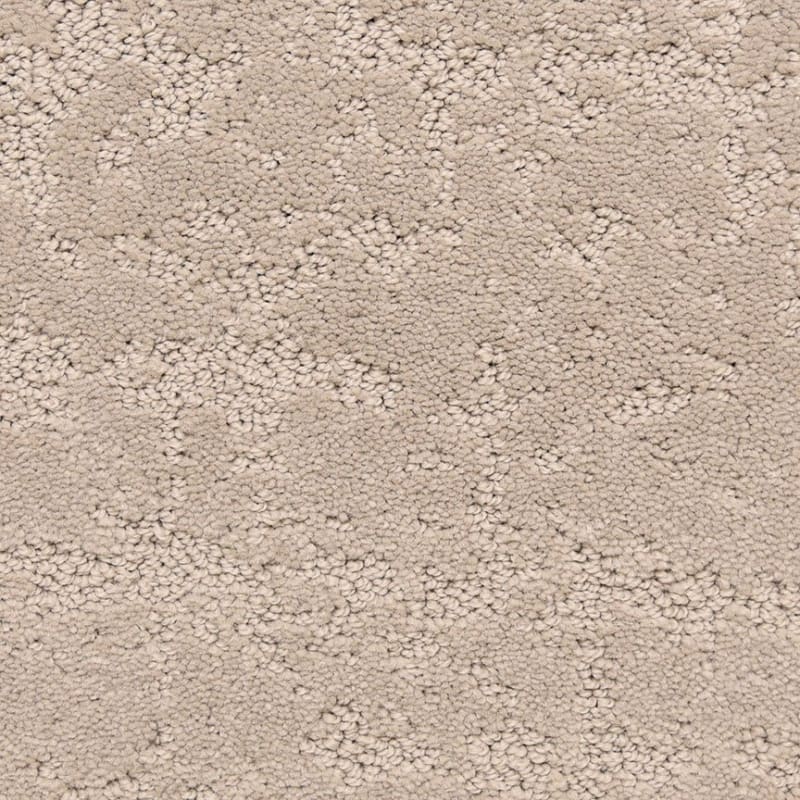 Classic Demeanor carpet by Dixie Home