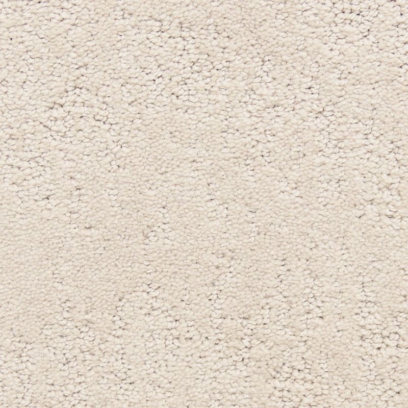 Attributes carpet by Dixie Home