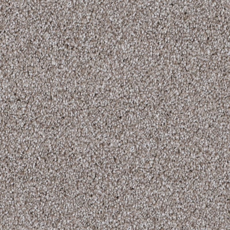 Dx169 carpet by Dixie Home