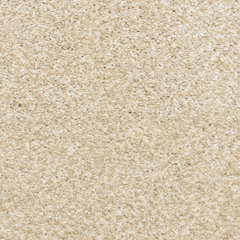 Katie's Comfort carpet by Dixie Home