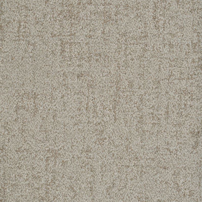 Authentic carpet by Dixie Home