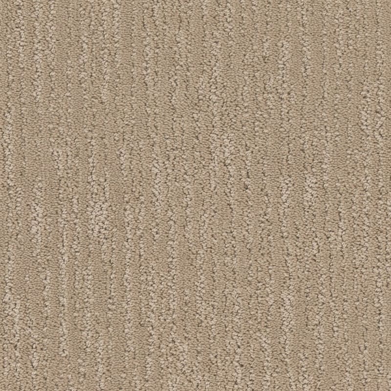 Gratifying carpet by Dixie Home