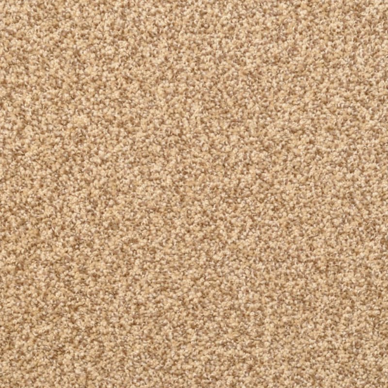 Delight carpet by Dixie Home