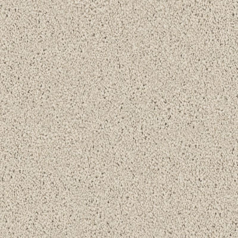 Admiration carpet by Dixie Home
