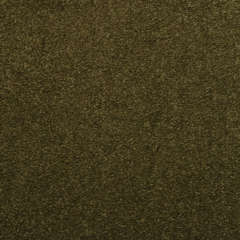 Soft & Silky carpet by Dixie Home