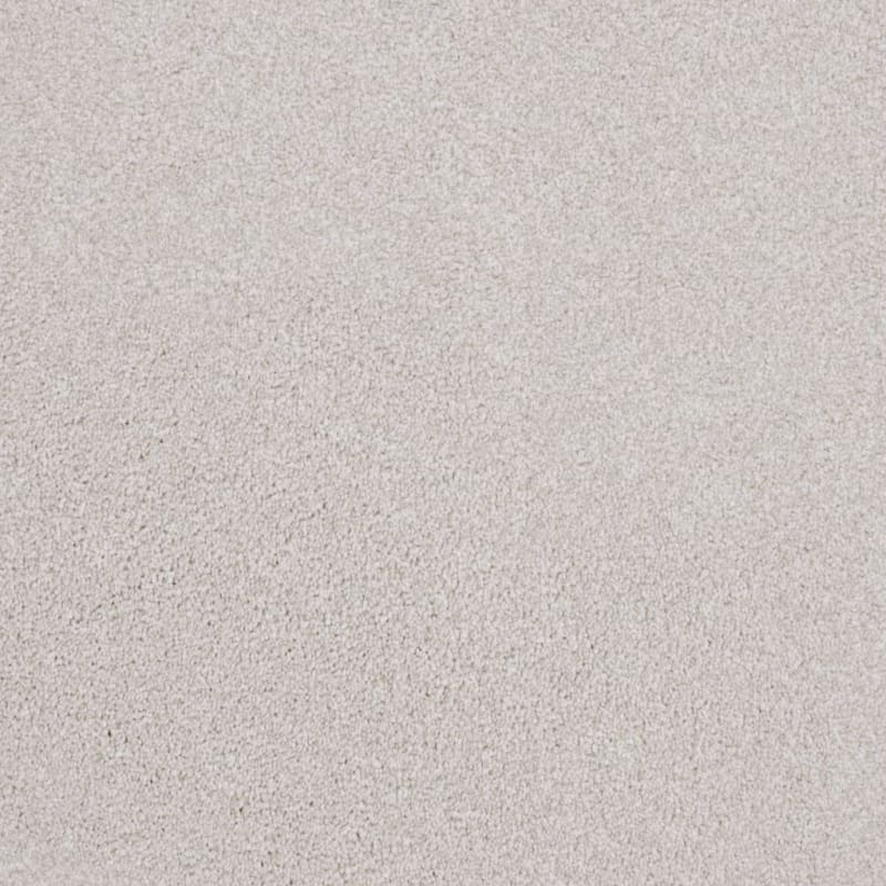 Top Dog carpet by Dixie Home