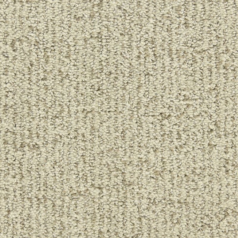 Victor carpet by Dixie Home