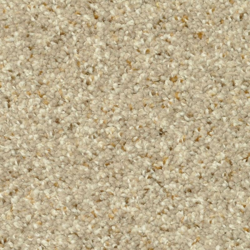 Magic Moment carpet by Dixie Home