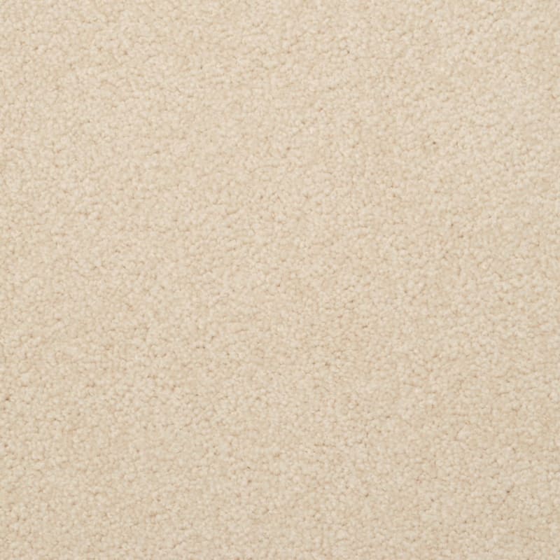 Cozy carpet by Dixie Home