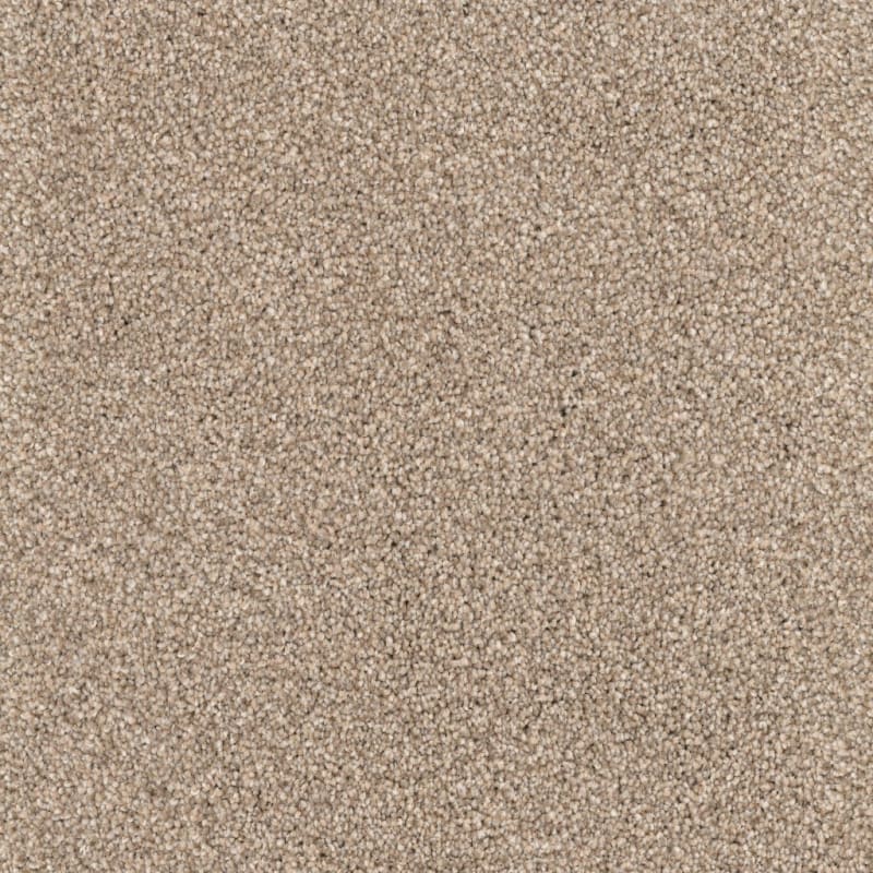 Great Dane carpet by Dixie Home