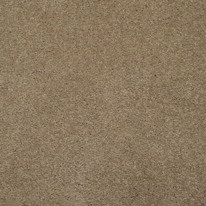 Soft & Silky carpet by Dixie Home