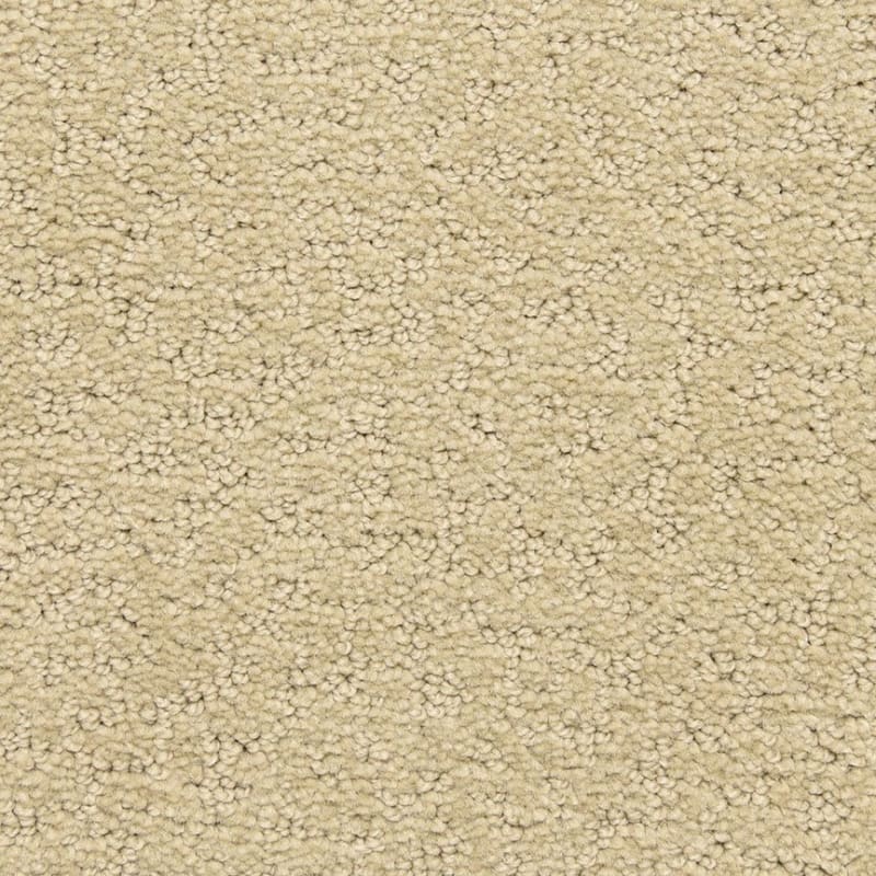 Prize Winner carpet by Dixie Home