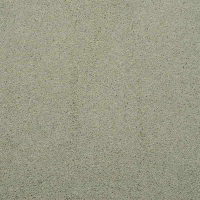 Soft & Silky carpet by Dixie Home