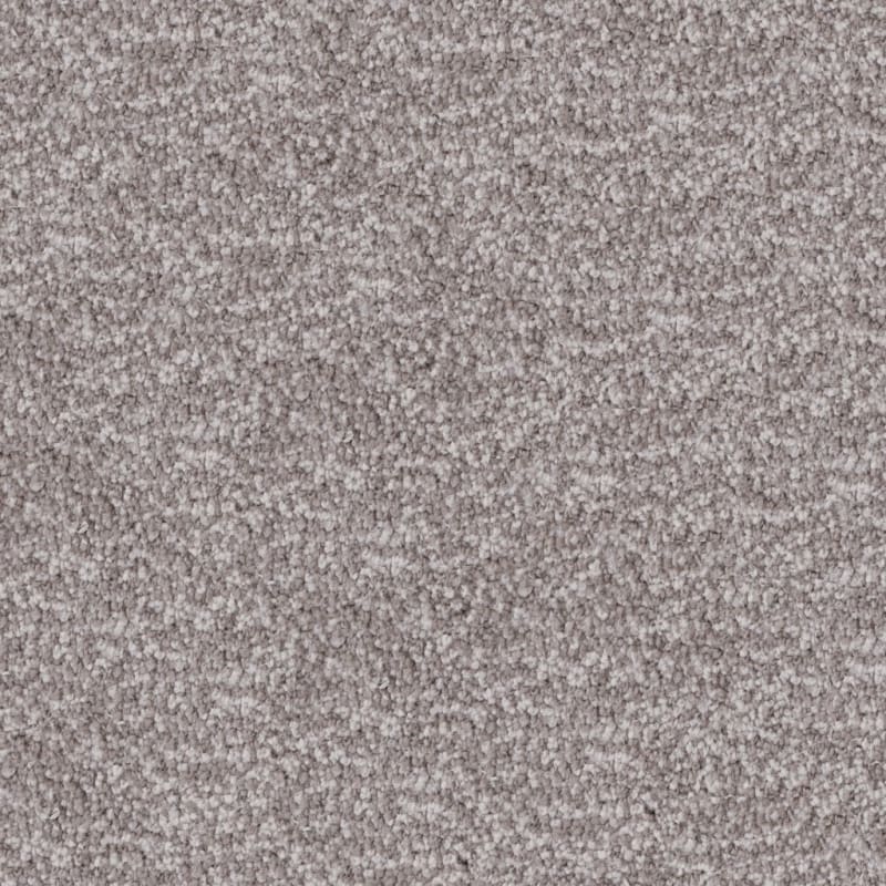 Dx220 carpet by Dixie Home