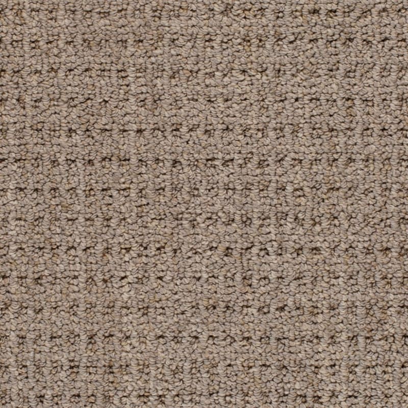 Villa carpet by Dixie Home