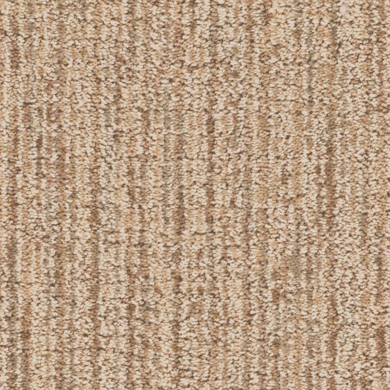 Enticing carpet by Dixie Home