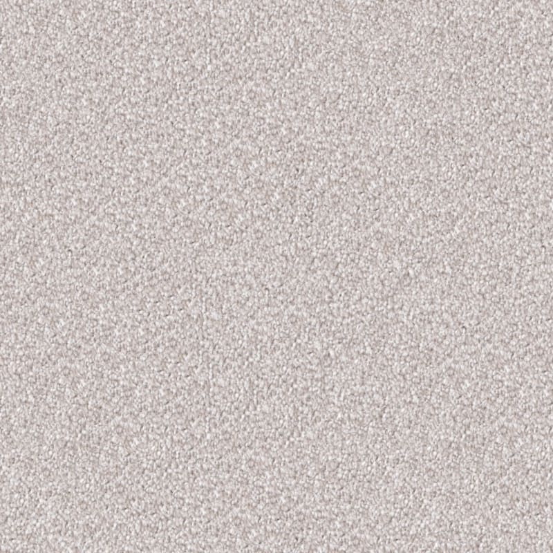 Dx109 carpet by Dixie Home