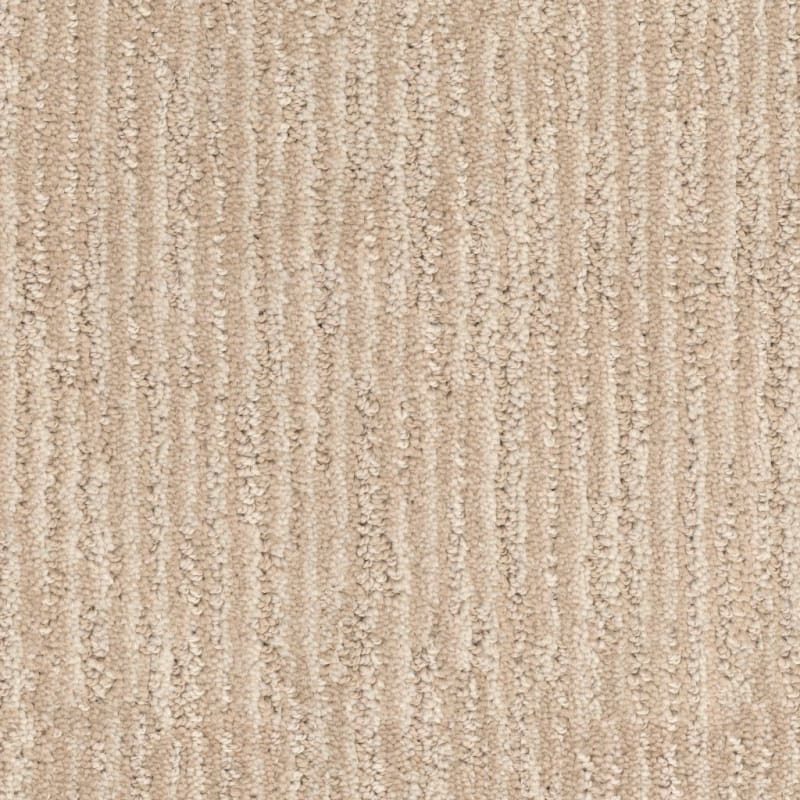 Inviting carpet by Dixie Home