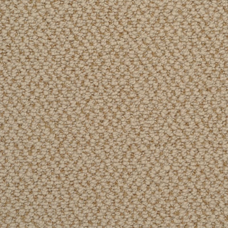 Authentic Living carpet by Dixie Home