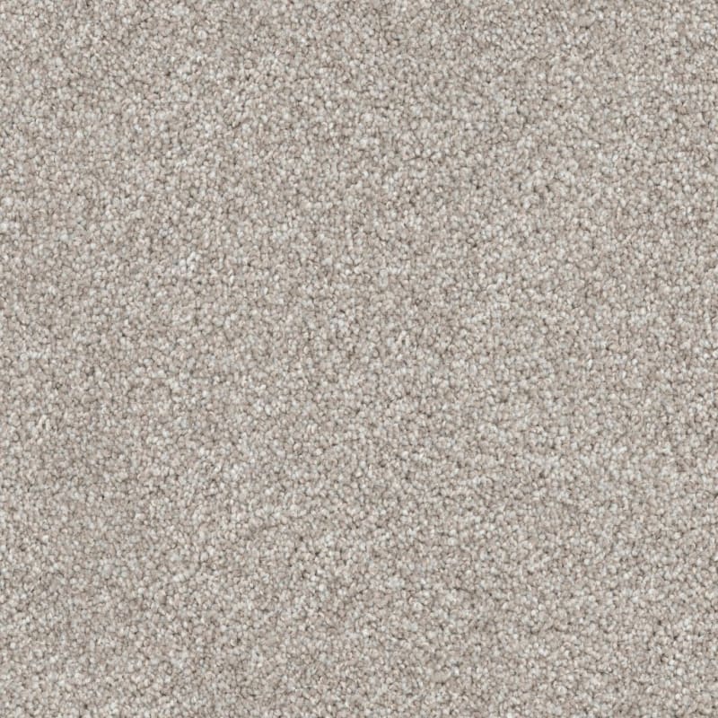 Husky carpet by Dixie Home