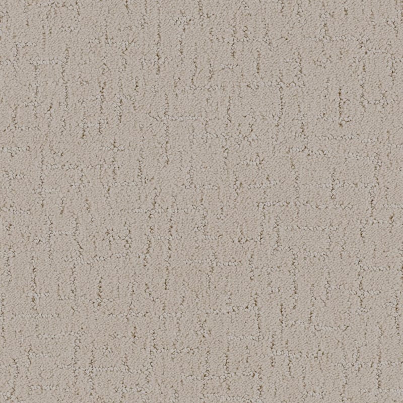 Dx301 carpet by Dixie Home