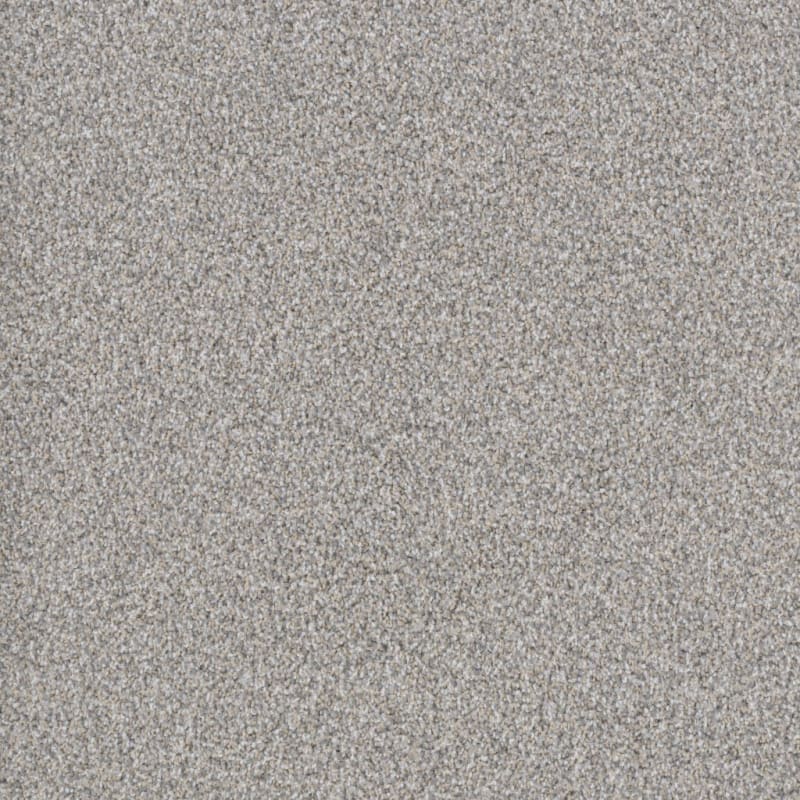 Big Dog carpet by Dixie Home