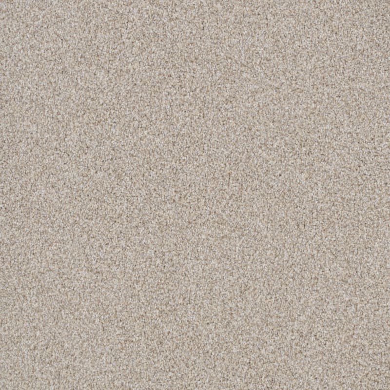 Top Dog carpet by Dixie Home
