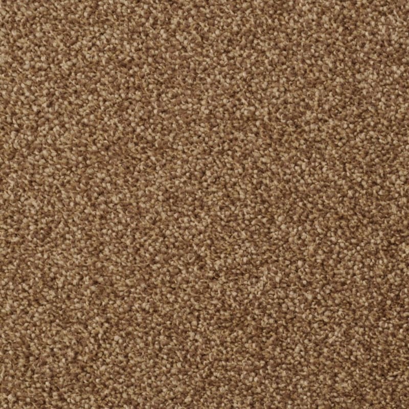Heart's Content carpet by Dixie Home